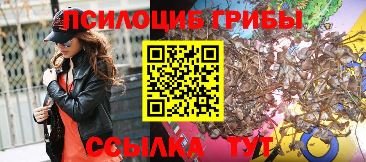 Псилоцибиновые грибы Psilocybe Верхняя Салда