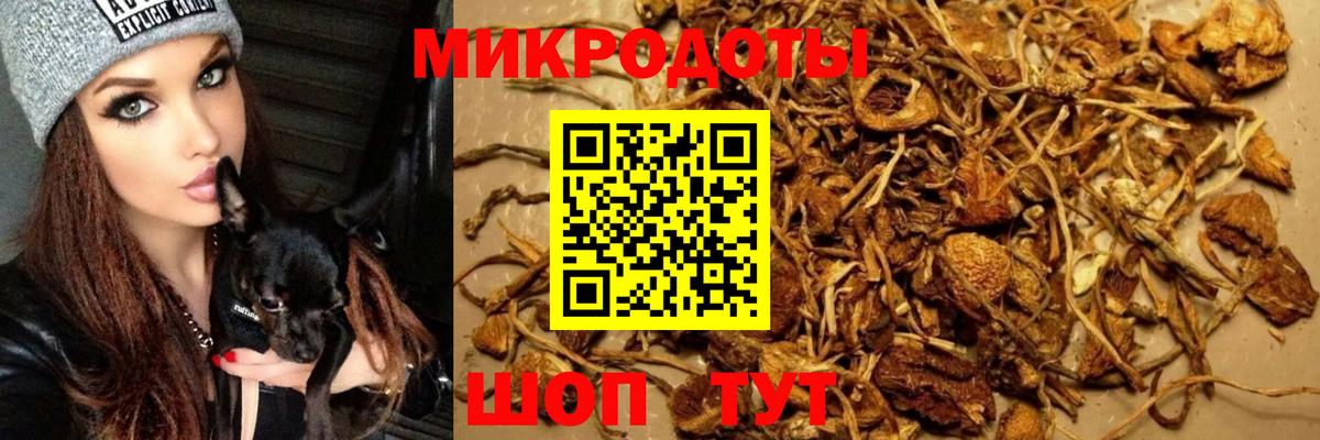 Псилоцибиновые грибы мухоморы  Вход с VPN  Верхняя Салда 